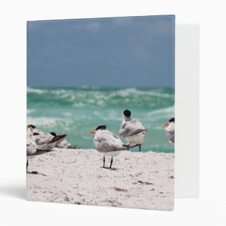 Birds on Beach 3 Ring Binder