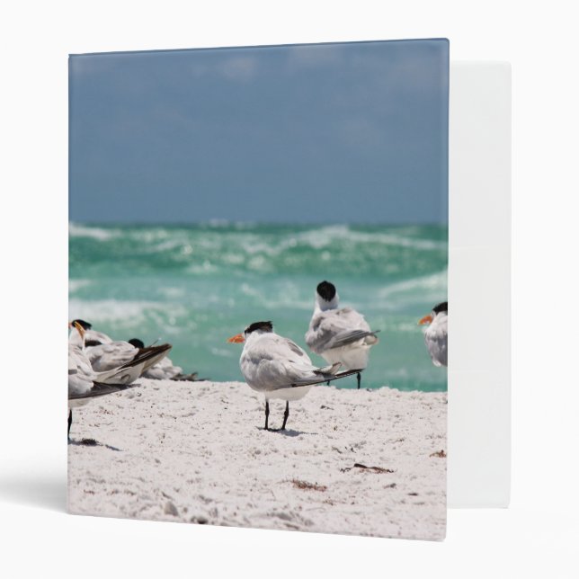 Birds on Beach 3 Ring Binder (Front/Inside)