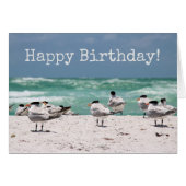 Birds on Beach Birthday (Front Horizontal)