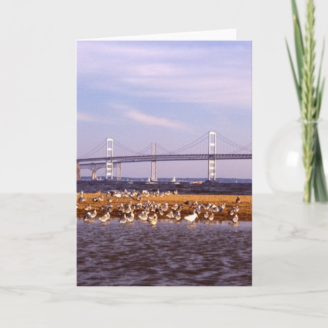 Birds on Chesapeake Bay Card (Front)