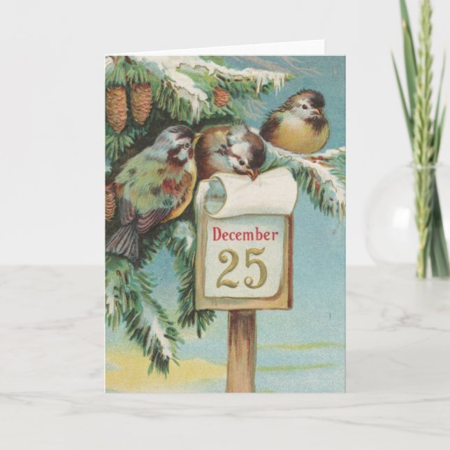 Birds on Decemeber 25th Holiday Card (Front)