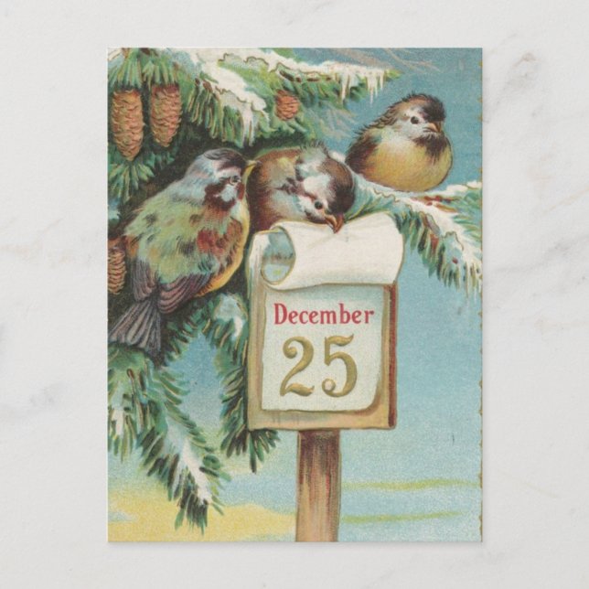 Birds on Decemeber 25th Holiday Postcard (Front)