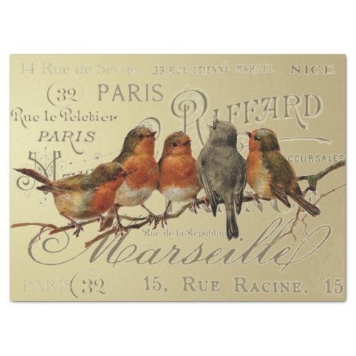 Birds on Gold Vintage French City Names Decoupage  Tissue Paper