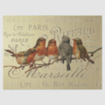Birds on Gold Vintage French City Names Decoupage  Tissue Paper