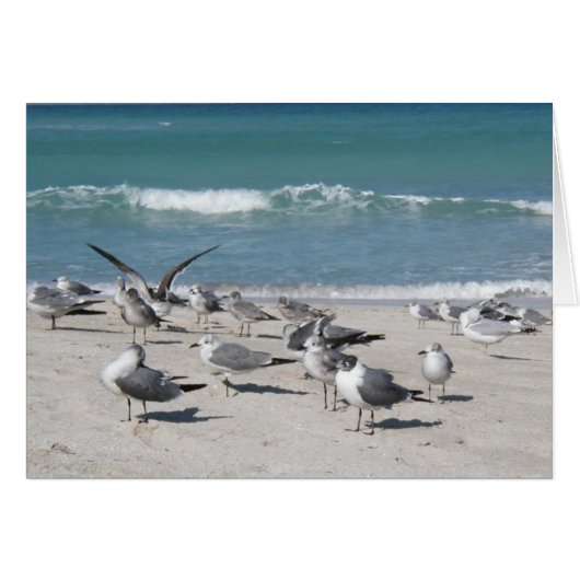 birds on ocean beach cards (Front Horizontal)