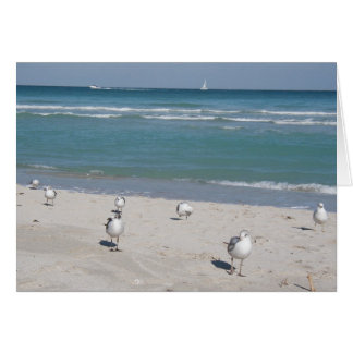 birds on ocean beach cards