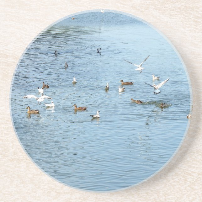 Birds On Summer River Drink Coaster (Front)