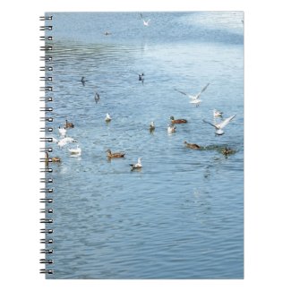 Birds On Summer River Notebook