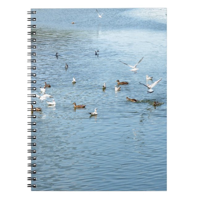 Birds On Summer River Notebook (Front)