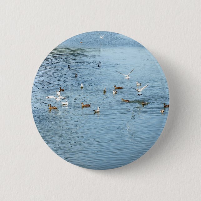 Birds On Summer River Pinback Button (Front)