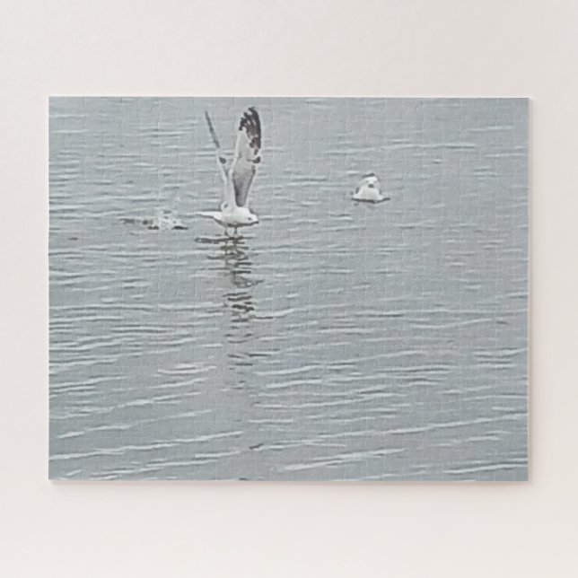 Birds On The Water Jigsaw Puzzle (Horizontal)