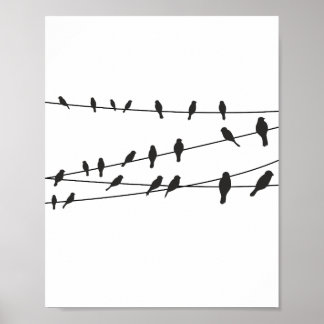 Birds on Wire Black White Poster Wall Art Decor
