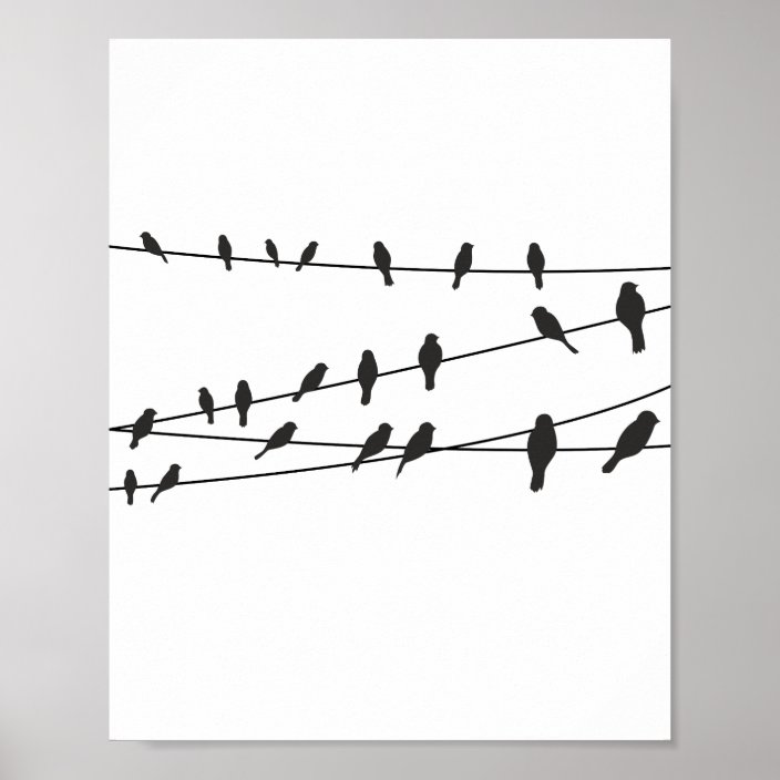 Birds On Wire Black White Poster Wall Art Decor Zazzle Com