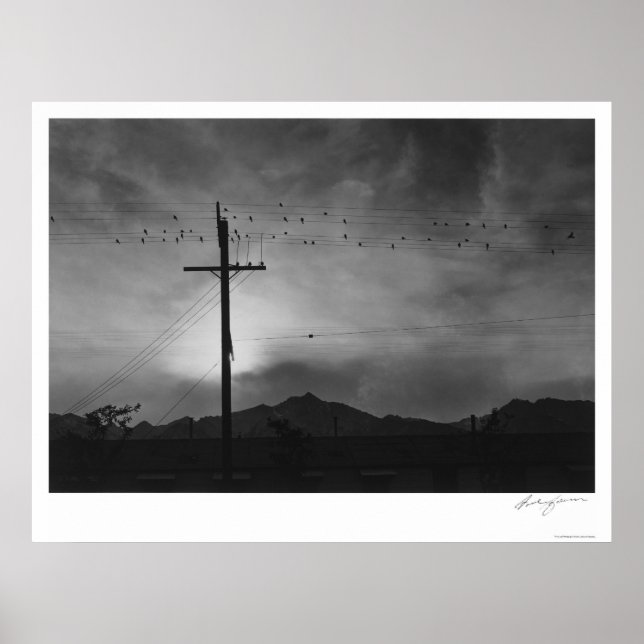 Birds On Wire, Evening 1943 Poster (Front)