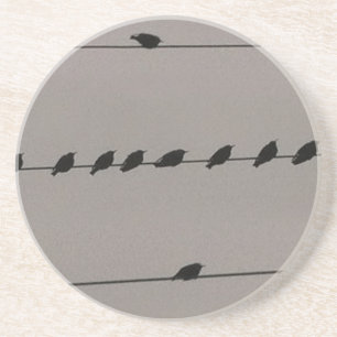 Birds on Wire Sandstone Coaster