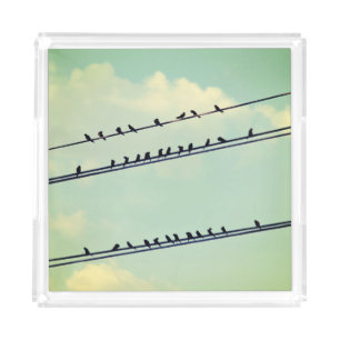 Birds on wires, vintage blue sky. acrylic tray