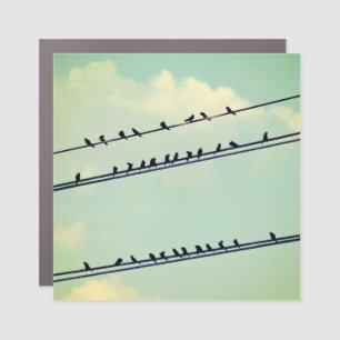 Birds on wires, vintage blue sky. car magnet