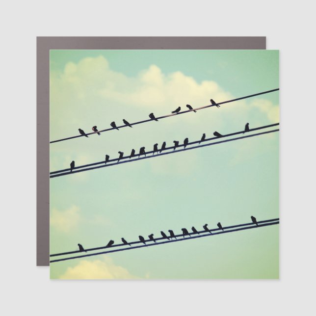 Birds on wires, vintage blue sky. car magnet (Front)