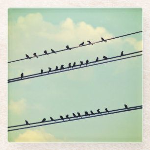 Birds on wires, vintage blue sky. glass coaster