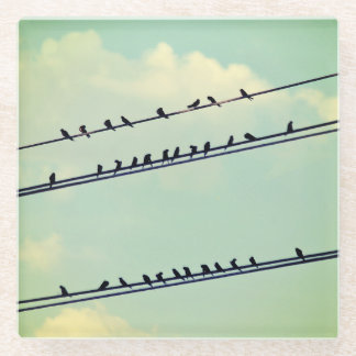 Birds on wires, vintage blue sky. glass coaster