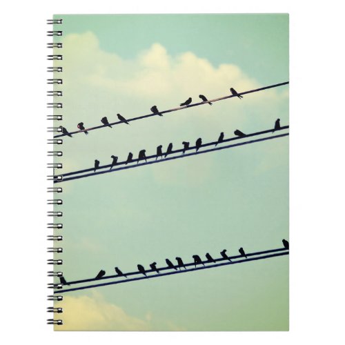 Birds on wires vintage blue sky notebook