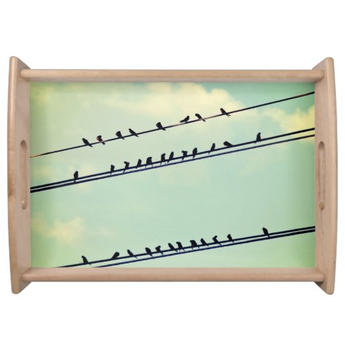 Birds on wires vintage blue sky serving tray