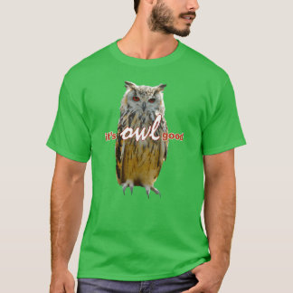 Birds Owls Memeee vintage friend T-Shirt