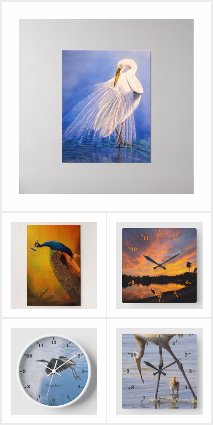 Birds painting & photography