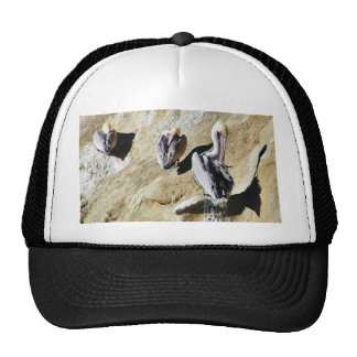 Bird Poop Hats and Bird Poop Trucker Hat Designs