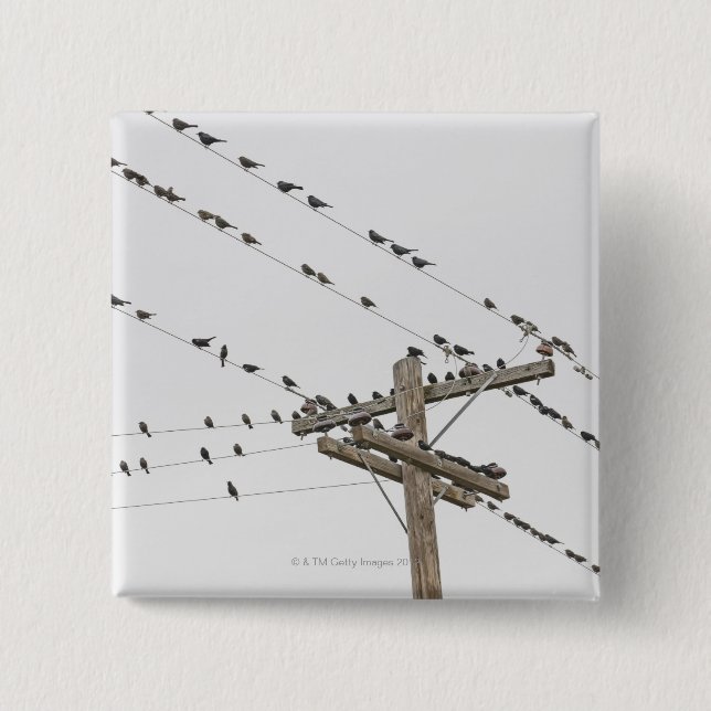 Birds perched on wires button (Front)