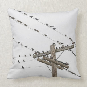Birds perched on wires throw pillow
