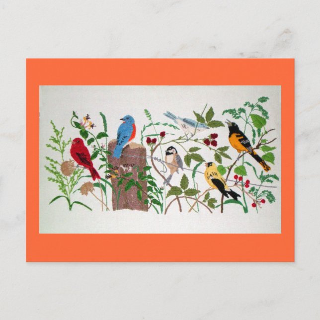 Birds Postcard (Front)