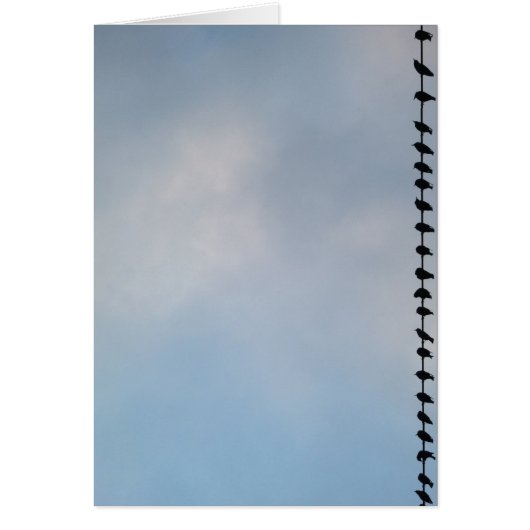 Birds, San Francisco Cards (Front)