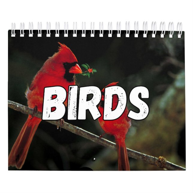 Birds Showcase Collection Wall Calendar (Cover)