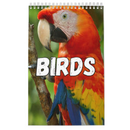 Birds Showcase Collection Wall Calendar
