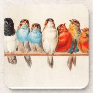 Birds Sitting Pretty and Calm Beverage Coaster