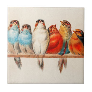 Birds Sitting Pretty and Calm Ceramic Tile
