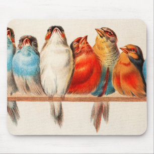 Birds Sitting Pretty and Calm Mouse Pad