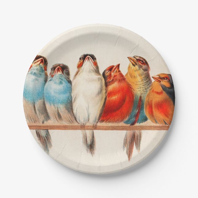 Birds Sitting Pretty and Calm Paper Plates (Front)