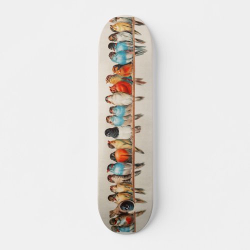 Birds Skateboard