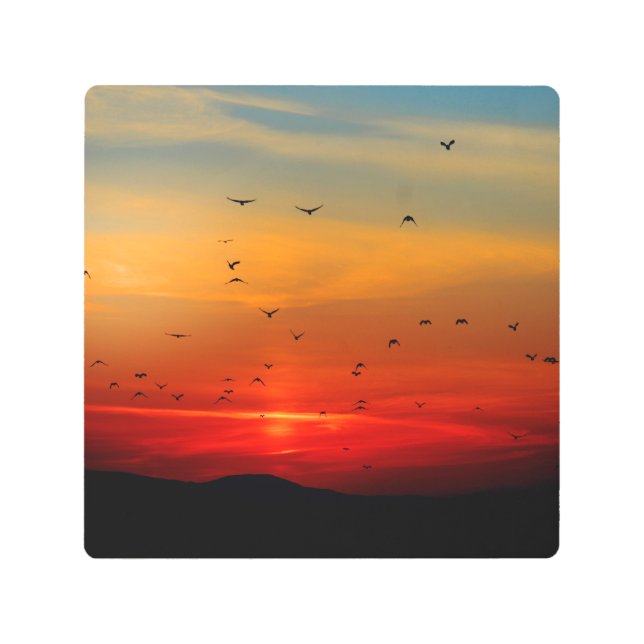 Birds Take Flight at Sunset Metal Print (Front)