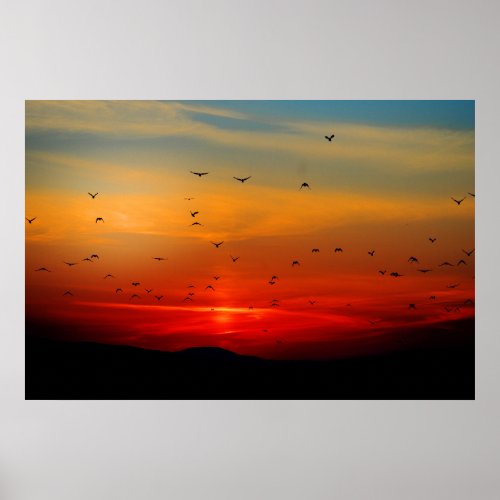 Birds Take Flight at Sunset picturesque photo Poster