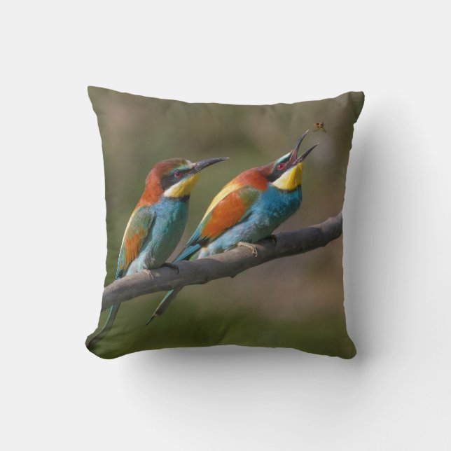 Birds Throw Pillow (Front)