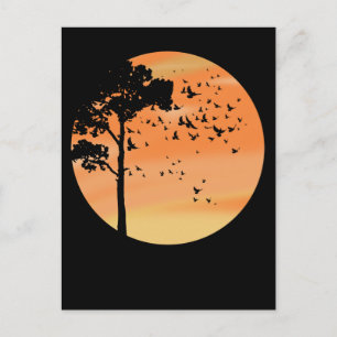 Birds Tree Beautiful Sunset Wildlife Nature Postcard