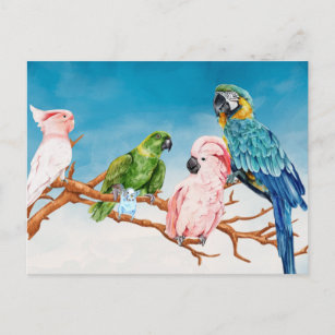 Birds Watercolor Parrot Macaw Cockatoo Parakeet Postcard