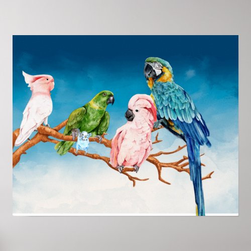 Birds Watercolor Parrot Macaw Cockatoo Parakeet  Poster