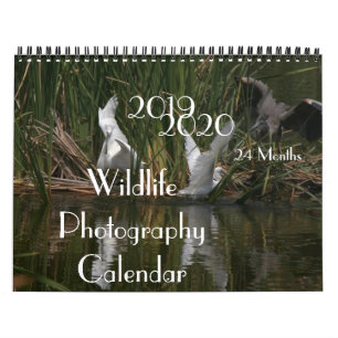Birds Wildlife Photography 2019 2020 Calendar