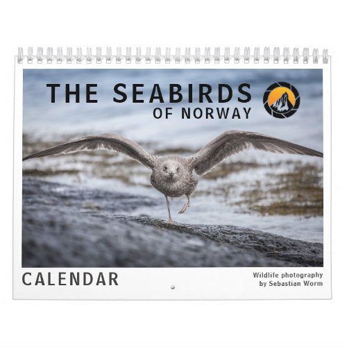 Birds Wildlife Photography 2025 Calendar