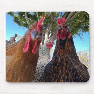 Birds with Attitude Mouse Pad