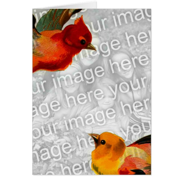 Birds Your Image Here Cards (Front)